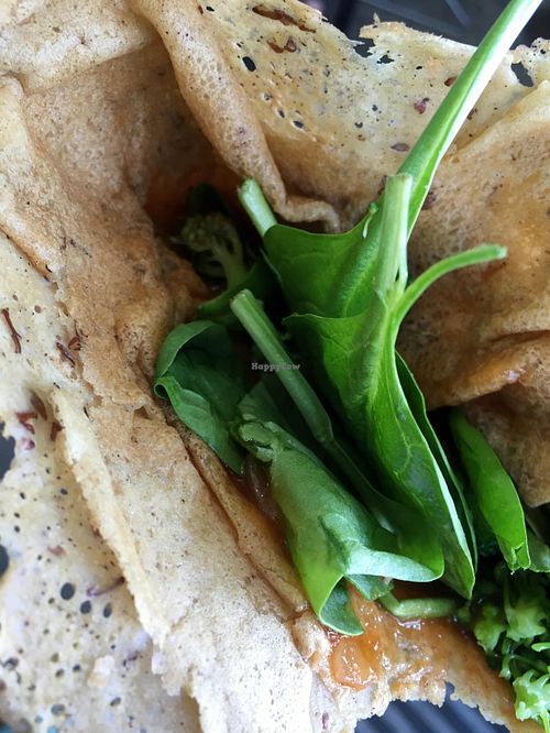 Salsa- too good to wait for this vegan gluten-free crepe at The Crepe Cart in New Orleans