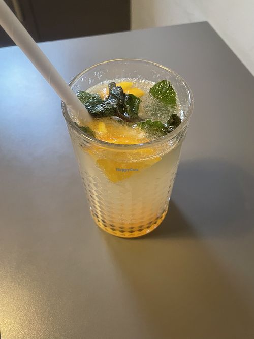   at Vegan's Prague in Prague