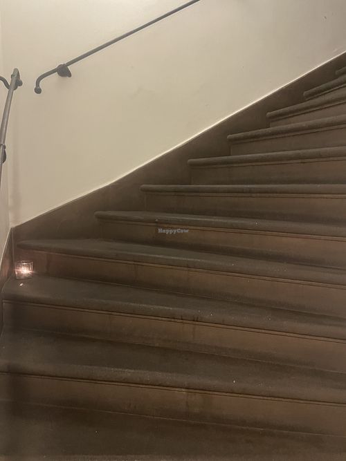   at Vegan's Prague in Prague