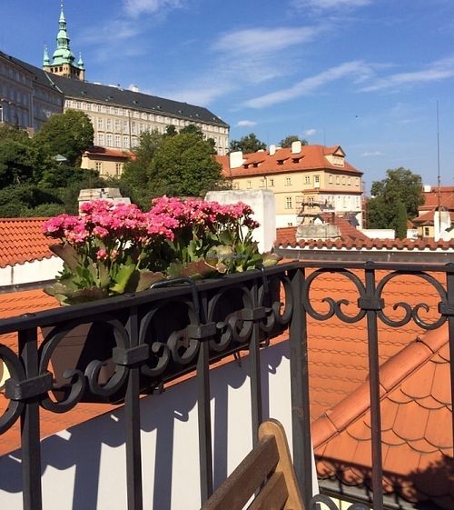 View at Vegan's Prague in Prague