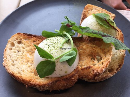 Poached vegan eggs on sourdough toast at Matcha Mylkbar in St Kilda