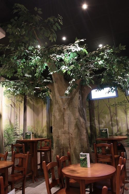 Our very own tree at Teteria El Bosque in Huesca