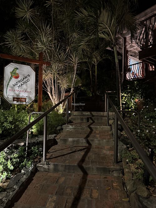   at Morgan's Mango in St John