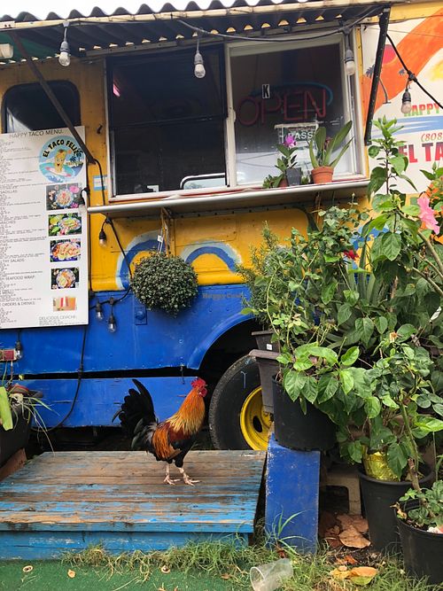Good mexican vegan option in Kapa’a Kauai at El Taco Feliz - The Happy Taco - Food Truck in Kapaa