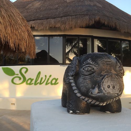 Salvia at Salvia in Playa Del Carmen