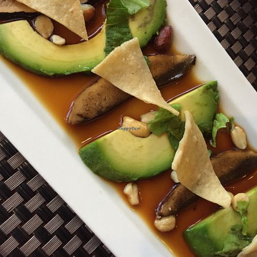 Avocado & Portobello tiradito at Salvia in Playa Del Carmen