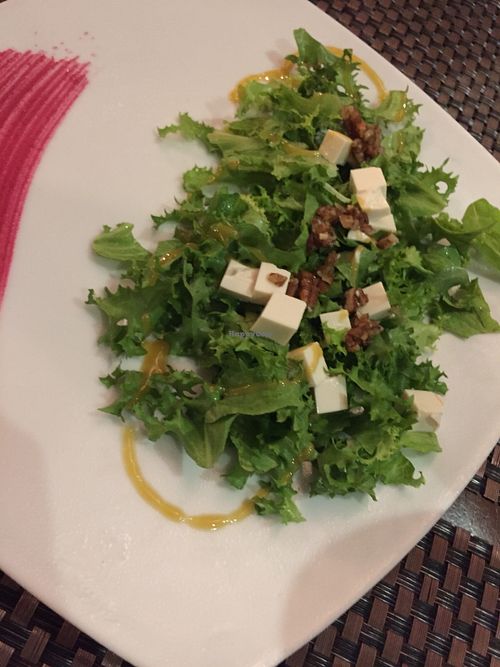 Three-leaf salad at Salvia in Playa Del Carmen