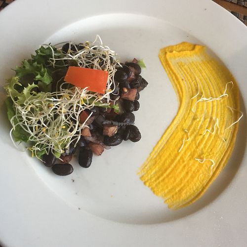 Vegan salad at Salvia in Playa Del Carmen