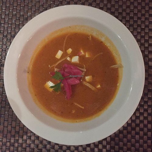 Tortilla soup at Salvia in Playa Del Carmen