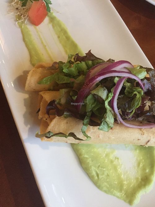 Flautas at Salvia in Playa Del Carmen