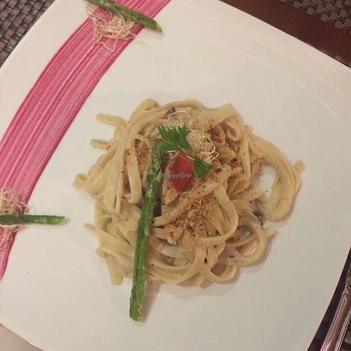 Fettuccine at Salvia in Playa Del Carmen