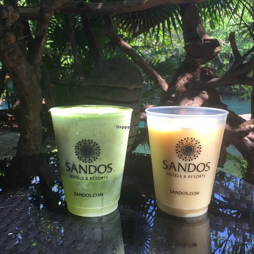 Not at Salvia: at the lobby bar l’elephant’.... nice smoothies at Salvia in Playa Del Carmen