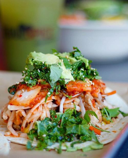 vegan taco at SeoulSpice in Washington