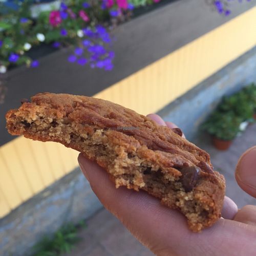 peanut butter choc chip cookie yum! at BaKED Food Cafe in New Glasgow