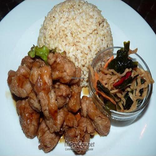 Fried soy meat with brown rice. at Vegan Healing Cafe in Tokyo
