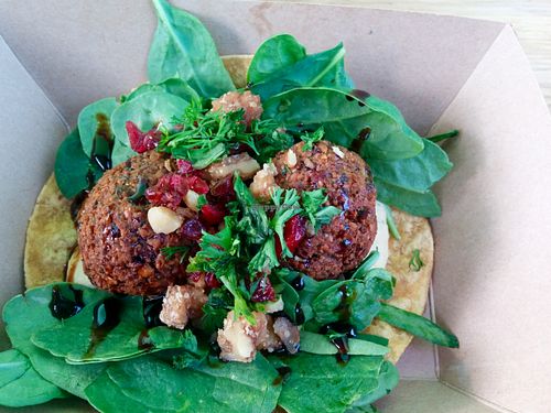 Dr. Thumbs. Cheesy hummus, falafel balls, spinach, balsamic reduction sauce, dried cranberries, cherries, walnuts, on corn tortilla. at Falacos - Food Truck in Houston