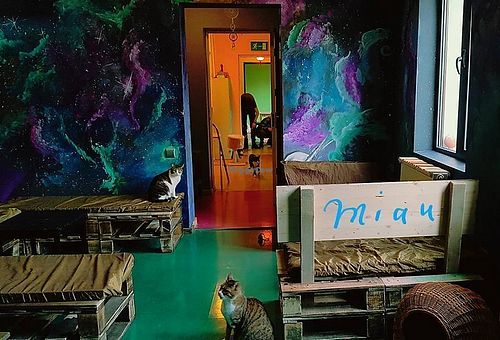 The Galaxy room at Miau in Bucharest