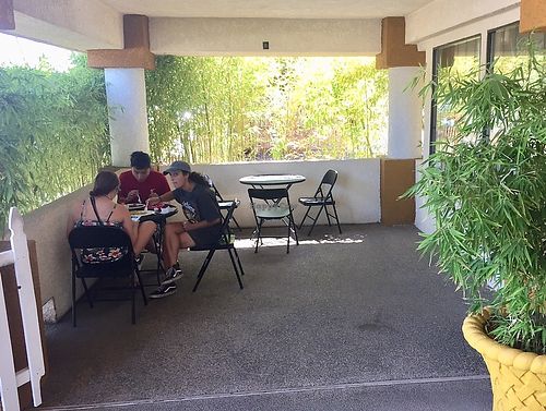 Half of the cozy outdoor space surrounded by bamboo.   at Loving Hut in Fresno