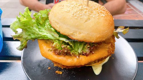 Geflügelte Träume  at Universum in Hannover