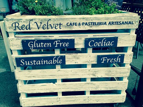 The other side of this planter has the word 'Vegan' on it. at La Tabla De Sitges in Sitges