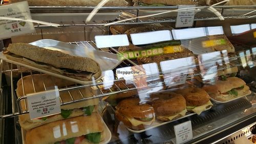 savoury at TXL - In.tegrale - TA in Berlin