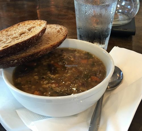 Vegan Soup of the dayp at Coffee Plant Roaster in Eugene