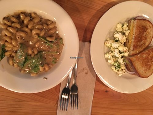 Mac and cheese with smoked shiitake and onion gravy at Of Roots and Blooms - Pop-up in Portland