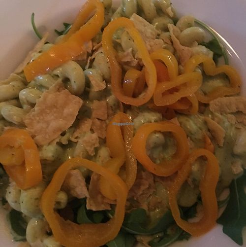 cilantro pesto mac and cheese at Of Roots and Blooms - Pop-up in Portland