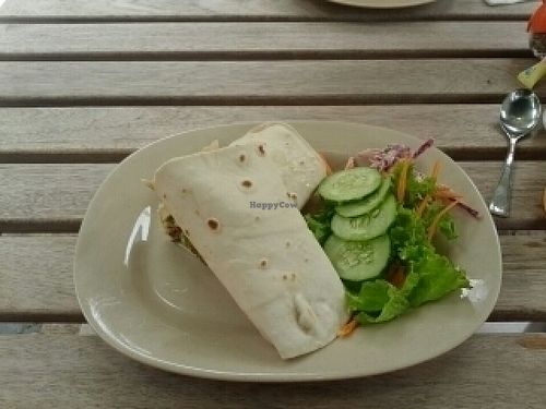 falafel wrap at Jack's Cat Cafe in Hoi An