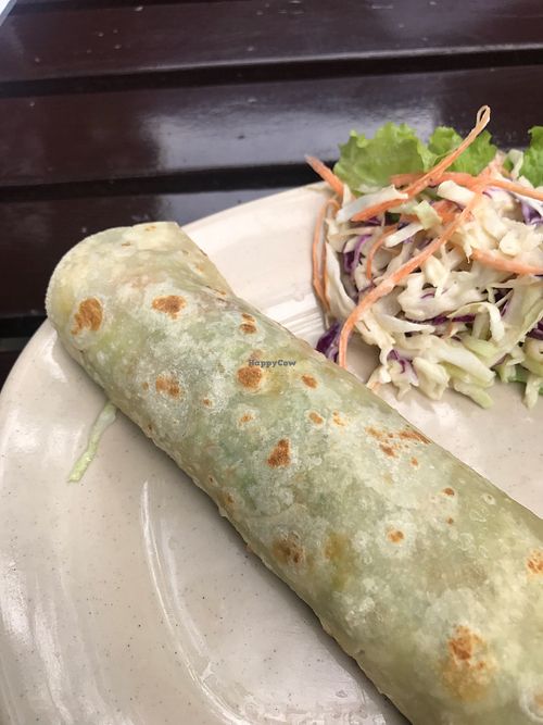 Vegan Garlic tofu wrap at Jack's Cat Cafe in Hoi An