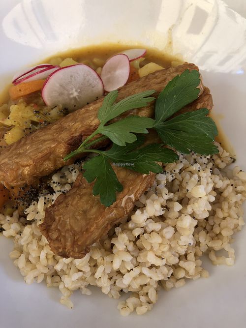 Tempeh curry at Interno TRE in Reggio Emilia