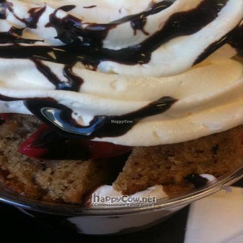 NOT VEGAN! BANANAMISU SEEMS VEGAN BUT IS NOT! at Bashful Banana in Ocean City