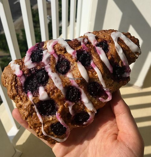 Lemon Blueberry Scone at Bashful Banana in Ocean City