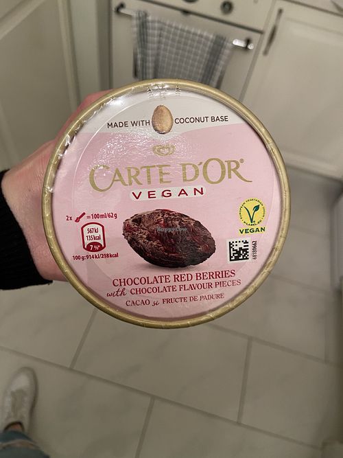 Ice cream   at Vegan Love in Budapest