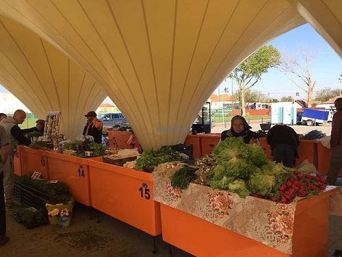  at Piata Volanta at Dan Paltinisanu Stadium in Timisoara