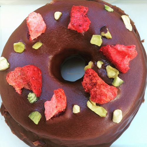 vegan fox at Doughnut Time in Surfers Paradise