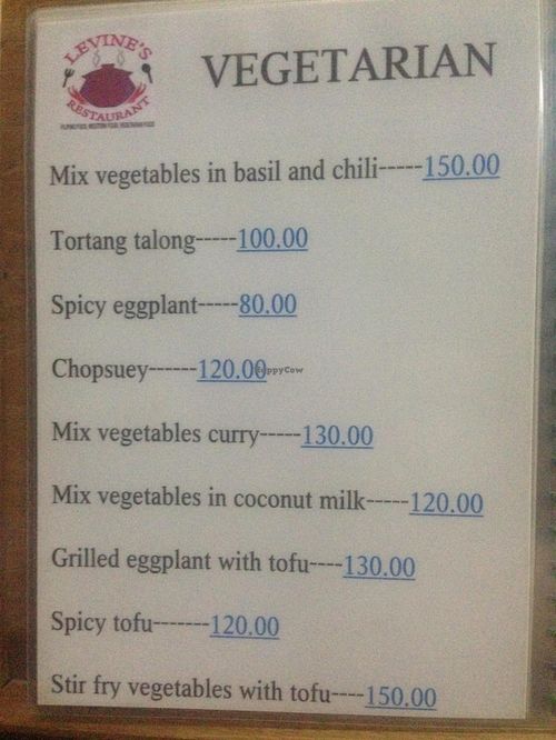 Vegetarian menu at Levine's Eatery in Coron