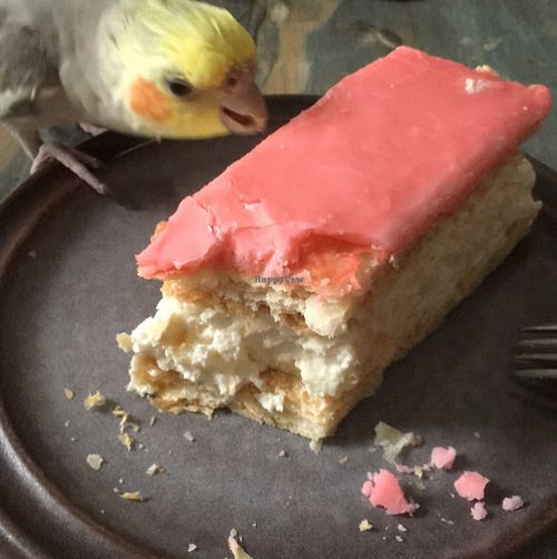 vegan pastry bought at Clubkoffie at Club Koffie in Amsterdam