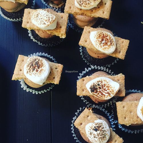 S'mores cupcakes  at Pogona Baking Company in Orlando