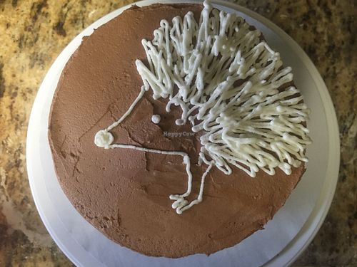 Hedgehog birthday cake at Pogona Baking Company in Orlando