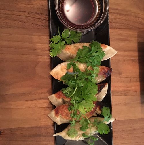 gyoza 800yen at Re:Nature Organic Cafe in Tokyo