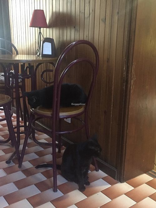 Interior  at Pes Verdes - Casa de Cha in Sao Miguel