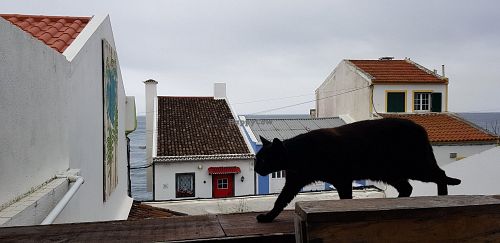 Lovely view from the garden roof at Pes Verdes - Casa de Cha in Sao Miguel