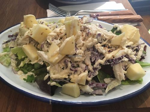 Miso ginger coleslaw with fresh greens and apples  at Teresa's Juicery in Barcelona