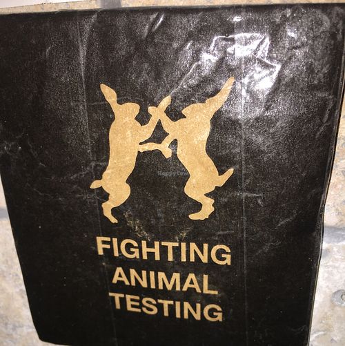 in washroom.   at Chiccas in Praia Da Luz