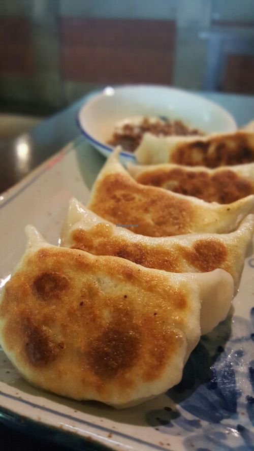 Pan Fried Dumplings  at Old Street Taiwanese Delicacies - M Mall Penang Times Square in Penang