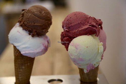 Genuine Italian, artisanal vegan gelato. at Il Gelato in Muenster