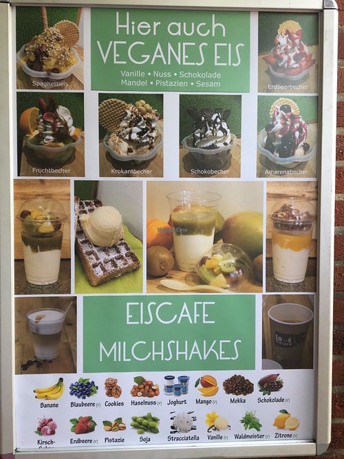 Our specialties, most of them Vegan. at Il Gelato in Muenster