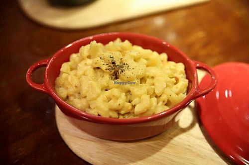 . at DalYang - Sweet Kitten 달냥 in Seoul