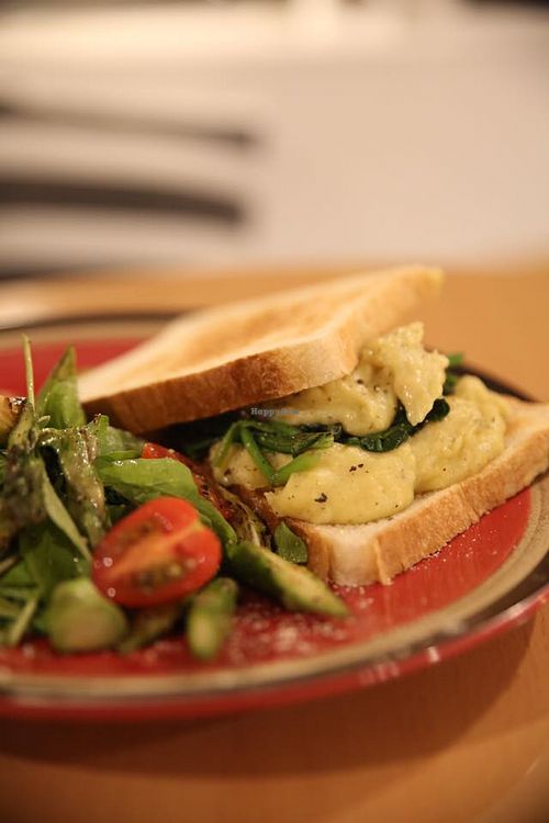 . at DalYang - Sweet Kitten 달냥 in Seoul